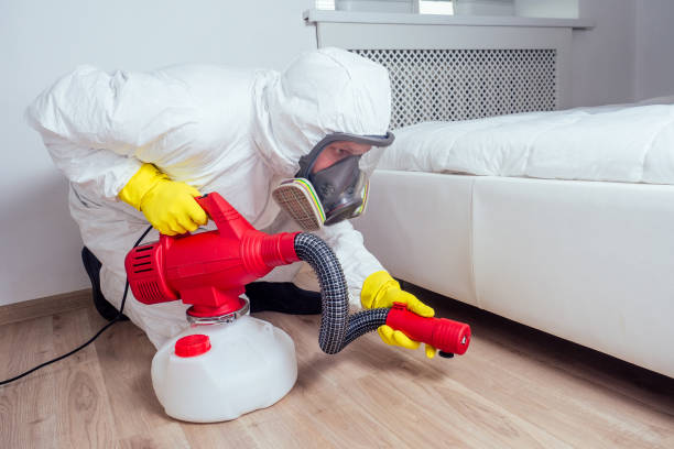 Best Best Pest Control Companies  in Hunter, TN