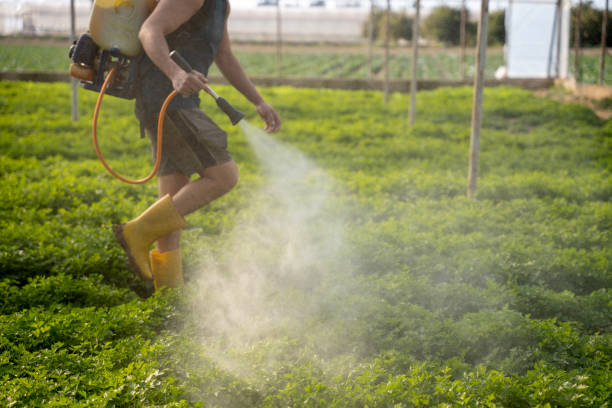 Best Affordable Pest Control Services  in Hunter, TN