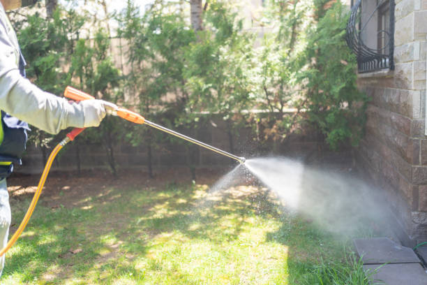 Professional Pest Control in Hunter, TN