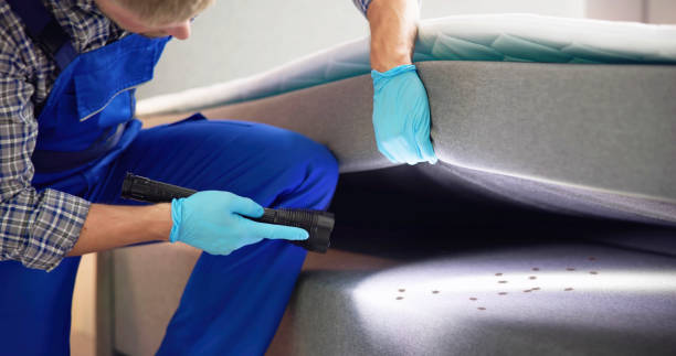 Best Mosquito Control Services  in Hunter, TN