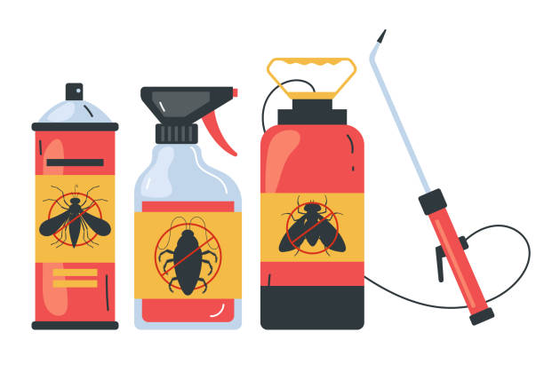 Best Local Pest Control Services  in Hunter, TN