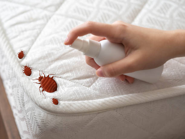 Best Bed Bug Extermination  in Hunter, TN